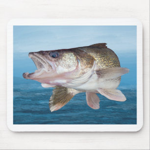 Walleye Gevist Muismat