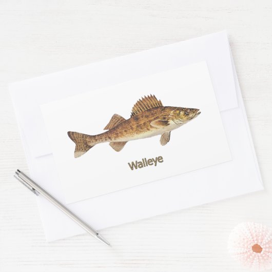 Walleye (Grote Meren) Rechthoekige Sticker (Envelop)