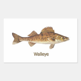 Walleye (Grote Meren) Rechthoekige Sticker
