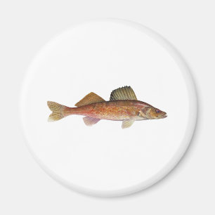 Walleye Magneet