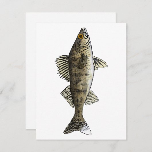Walleye Notitiekaartje (Voorkant / Achterkant)