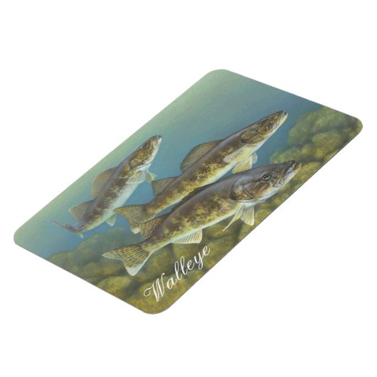 Walleye Painting Magnet Magneet (Linkerzijde)