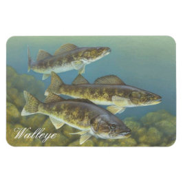 Walleye Painting Magnet Magneet
