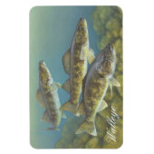 Walleye Painting Magnet Magneet (Verticaal)