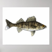 Walleye Poster (Voorkant)