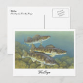 Walleye Schilderij Briefkaart (Voorkant / Achterkant)
