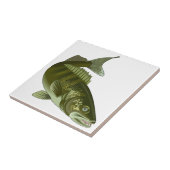 Walleye Tegeltje (Zijkant)