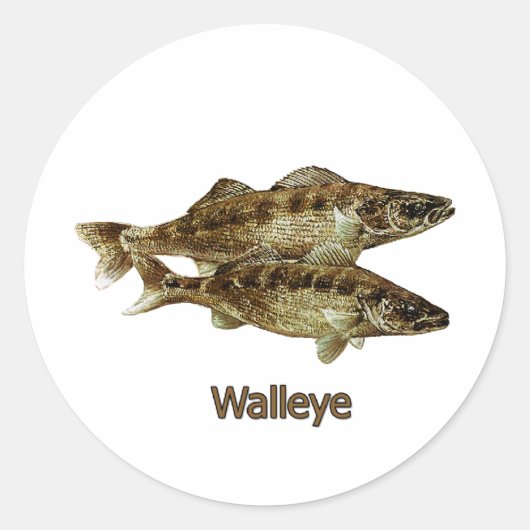 Walleye Vist Logo Ronde Sticker (Voorkant)