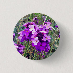 Wallflower Bowles Mauve #1 Button