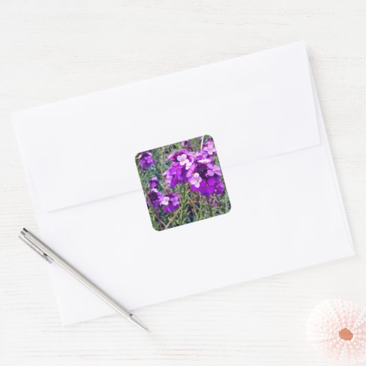 Wallflower Bowles Mauve #1 Sticker (Envelop)