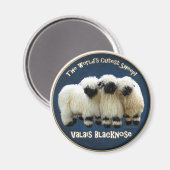 Wallis Blacknose - 's Werelds schattigste schaap! Magneet (Voorkant / Achterkant)