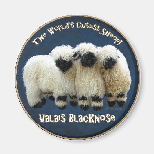 Wallis Blacknose - 's Werelds schattigste schaap! Magneet (Voorkant)