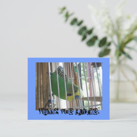 Wallis de Boedgie! Briefkaart (Staand voorkant)