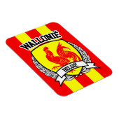 Wallonië Magneet (Rechterzijde)