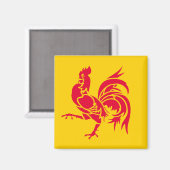 Wallonië vlag België regio franse provincie symbo Magneet (Voorkant / Achterkant)