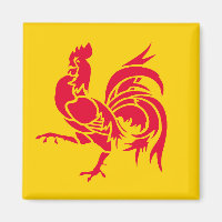 Wallonië vlag België regio franse provincie symbo