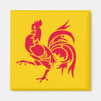 Wallonië vlag België regio franse provincie symbo Magneet