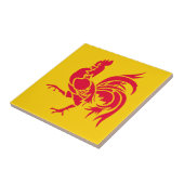 Wallonië vlag België regio franse provincie symbo Tegeltje (Zijkant)