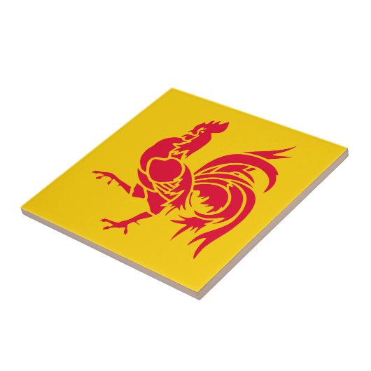 Wallonië vlag België regio franse provincie symbo Tegeltje (Zijkant)