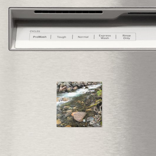 Wallowa, OF Magneet (Insitu (Vaatwasser))