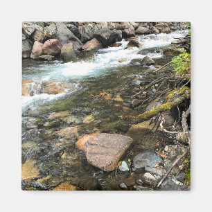 Wallowa, OF Magneet