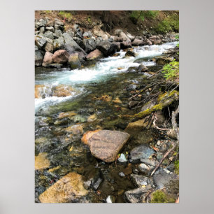 Wallowa, OF Poster