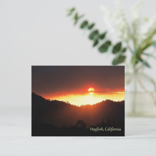 Wallow's Fire van 2007 Briefkaart (Staand voorkant)