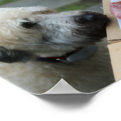 Walls Print - Meat as Motivation (Hoek)