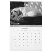 Wally The Wonder Dog 2009 Kalender (Mar 2027)