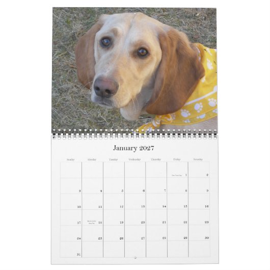 Wally The Wonder Dog 2009 Kalender (Jan 2027)