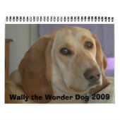 Wally The Wonder Dog 2009 Kalender (Hoes)