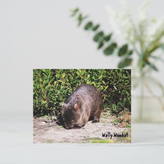 Wally Wombat Briefkaart (Staand voorkant)