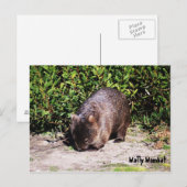 Wally Wombat Briefkaart (Voorkant / Achterkant)