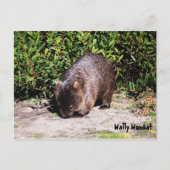 Wally Wombat Briefkaart (Voorkant)