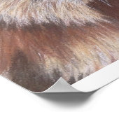 Wally Wombat Poster (Hoek)