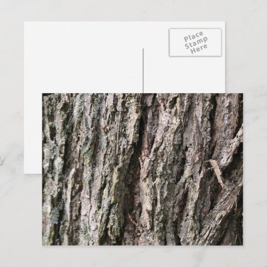 Walnoenschors Briefkaart (Voorkant / Achterkant)