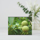 Walnoten in groen blad briefkaart (Staand voorkant)