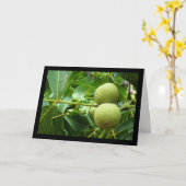 Walnoten in groen blad kaart (Gele Bloem)