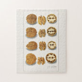 Walnoten (Juglans) Fruit Aquarel Schilderij Legpuzzel (Verticaal)