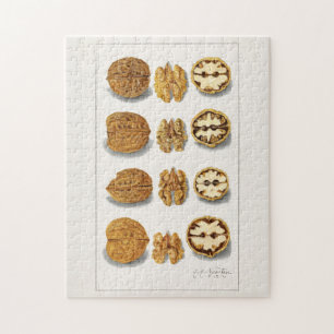 Walnoten (Juglans) Fruit Aquarel Schilderij Legpuzzel