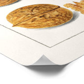 Walnoten (snoepjes) Waterverf Poster (Hoek)