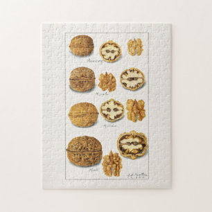 Walnoten (snolans) Waterverf van fruit Legpuzzel