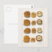 Walnoten (snolans) Waterverf van vruchten Briefkaart (Voorkant / Achterkant)