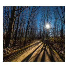 Walnut Bossen Metro Park, Groveport, Ohio Foto Afdruk