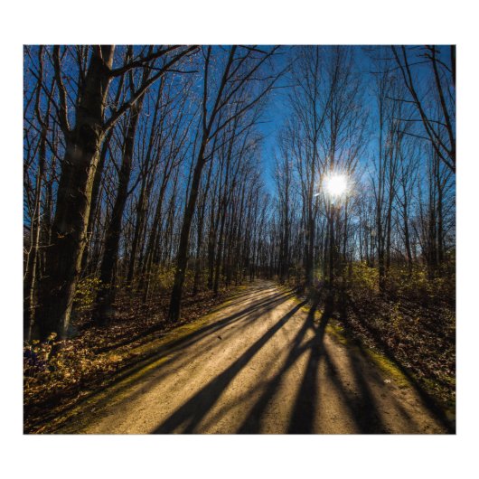 Walnut Bossen Metro Park, Groveport, Ohio Foto Afdruk (Voorkant)