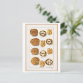 Walnut  Botanische Illustratie Waterverf Briefkaart (Staand voorkant)