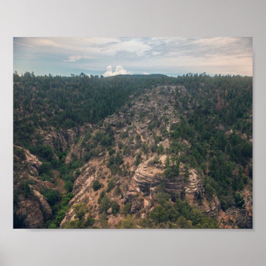 Walnut Canyon Poster (Voorkant)