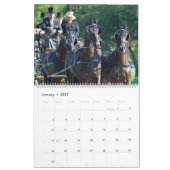 Walnut Hill Carriage Driving Horse Show Kalender (Jan 2027)