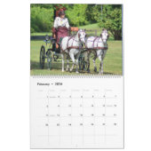 Walnut Hill Carriage Driving Horse Show Kalender (Feb 2026)