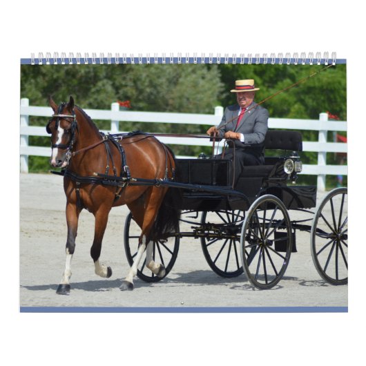 Walnut Hill Carriage Driving Horse Show Kalender (Hoes)